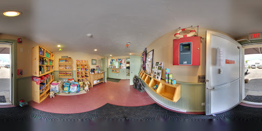 Salty Dog Doggy Daycare - Image 1