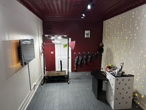 Le Pawrista - Image 1