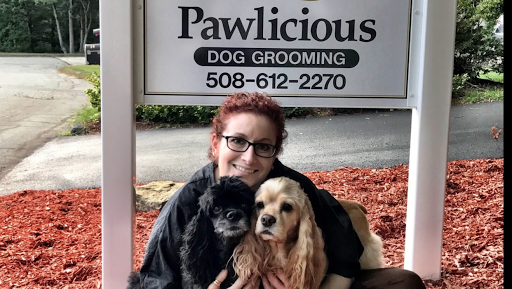 Pawlicious Dog Grooming - Image 1