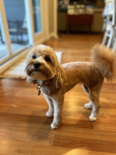 Woofward Ave - Image 1