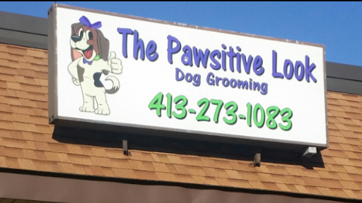The Pawsitive Look - Image 1