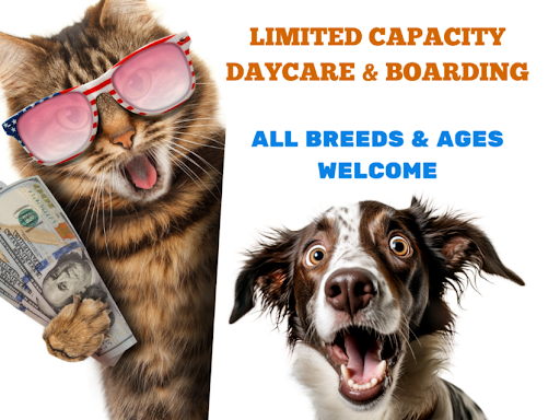 Commerce Pets - Image 1