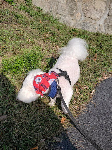 Pups Unlimited - Image 1