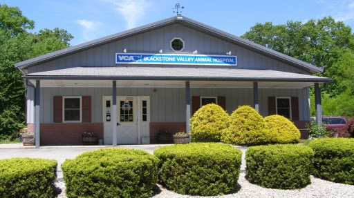 VCA Blackstone Valley Animal Hospital - Image 1