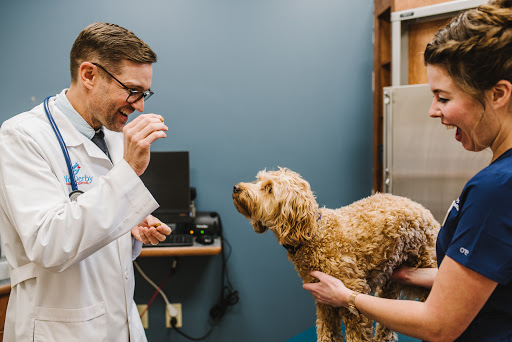 Old Derby Animal Hospital - Image 1