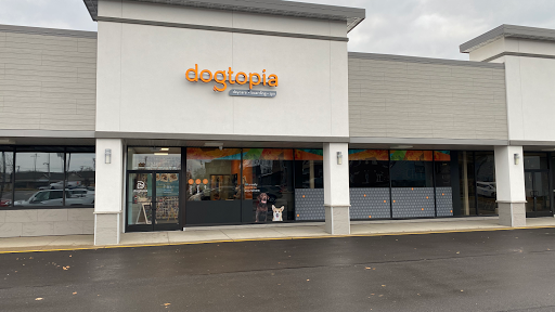 Dogtopia of Plymouth - Image 1