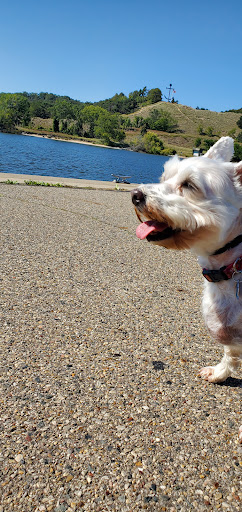 Sitting Pretty Pet Spa - Image 1