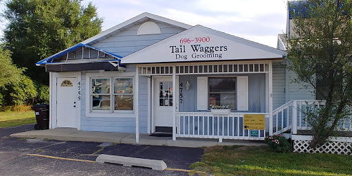 Tail Waggers Dog Grooming - Image 1